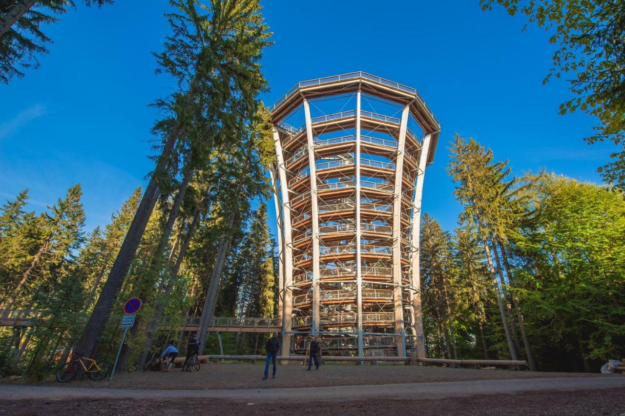 Horalka Apartmán Pec pod Snezkou Exterior foto