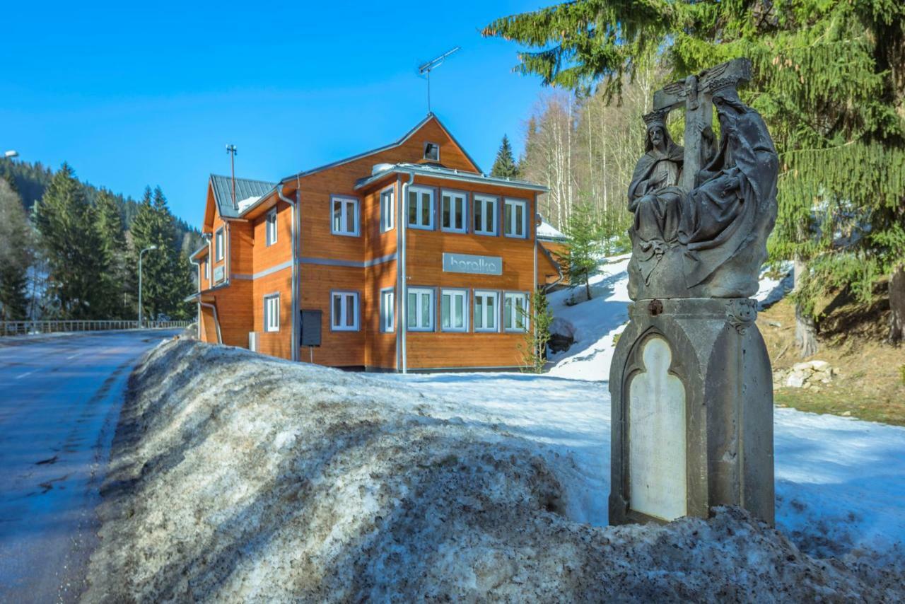 Horalka Apartmán Pec pod Snezkou Exterior foto